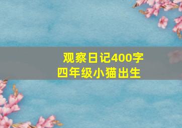 观察日记400字 四年级小猫出生